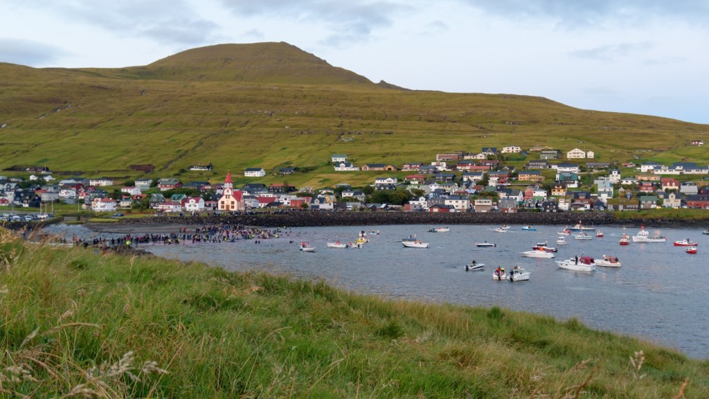 Locals whaling in the Faroe Islands