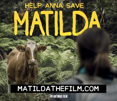 Matilda's film poster