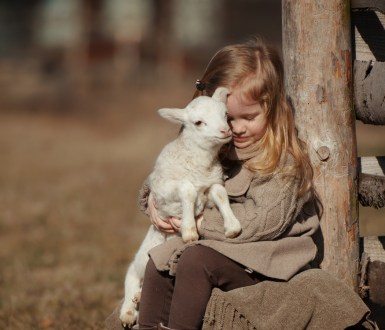 Young child cuddling a lamb at a farm