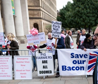 UK pork farmers protest