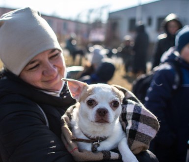 People fleeing Ukraine with their pets